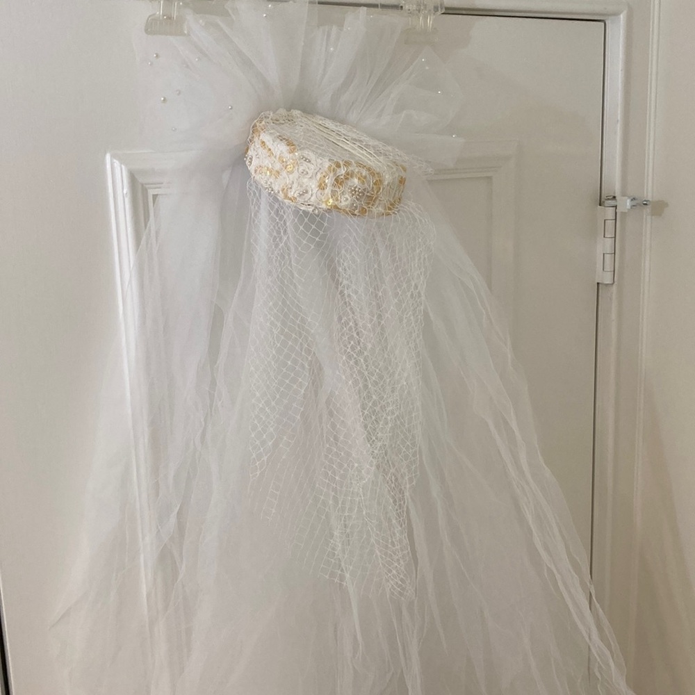 Elegant White Pill Box Bridal Veil